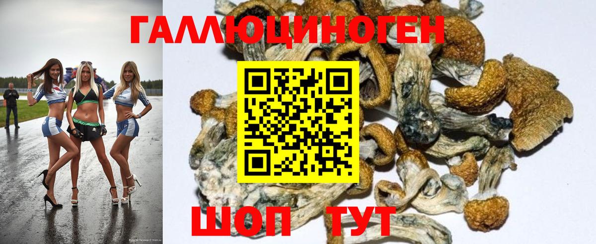Псилоцибиновые грибы Psilocybine cubensis Семилуки